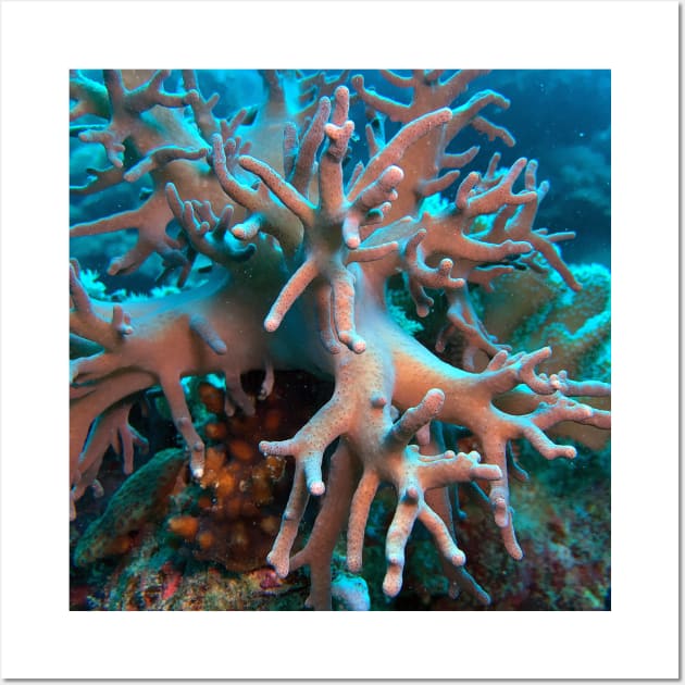 Red Sea Soft Coral Wall Art by likbatonboot